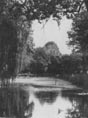 Sauoer Dorfteich